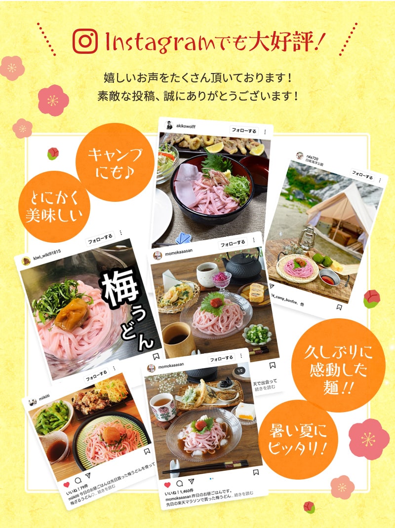 紀州冷し梅うどんセット（大盛り5人前）