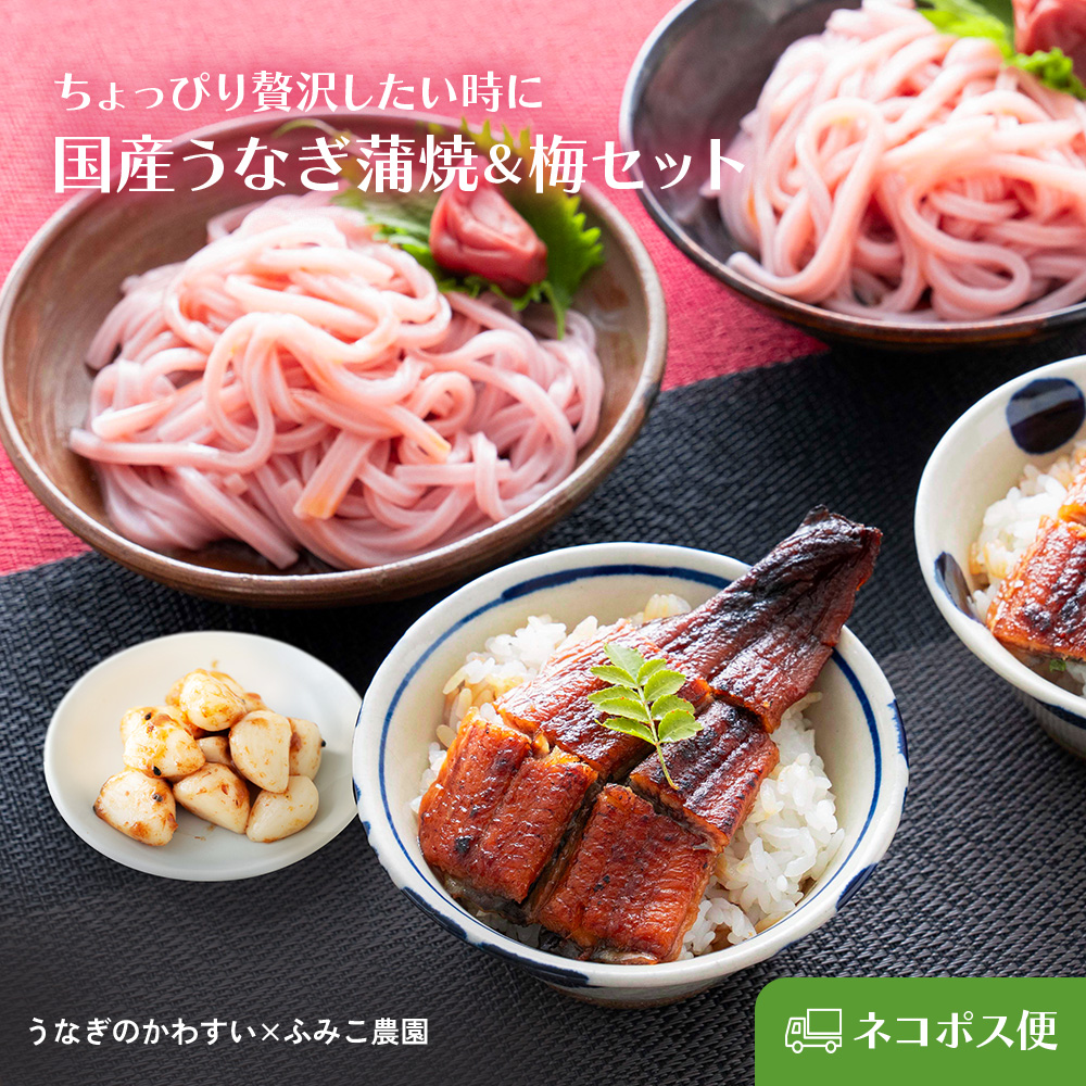 国産うなぎ蒲焼カットと梅セット（ネコポス便）
