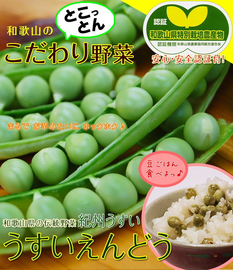 源 2025 ご予約受付中 うすいえんどう（紀州うすい）1kg 和歌山