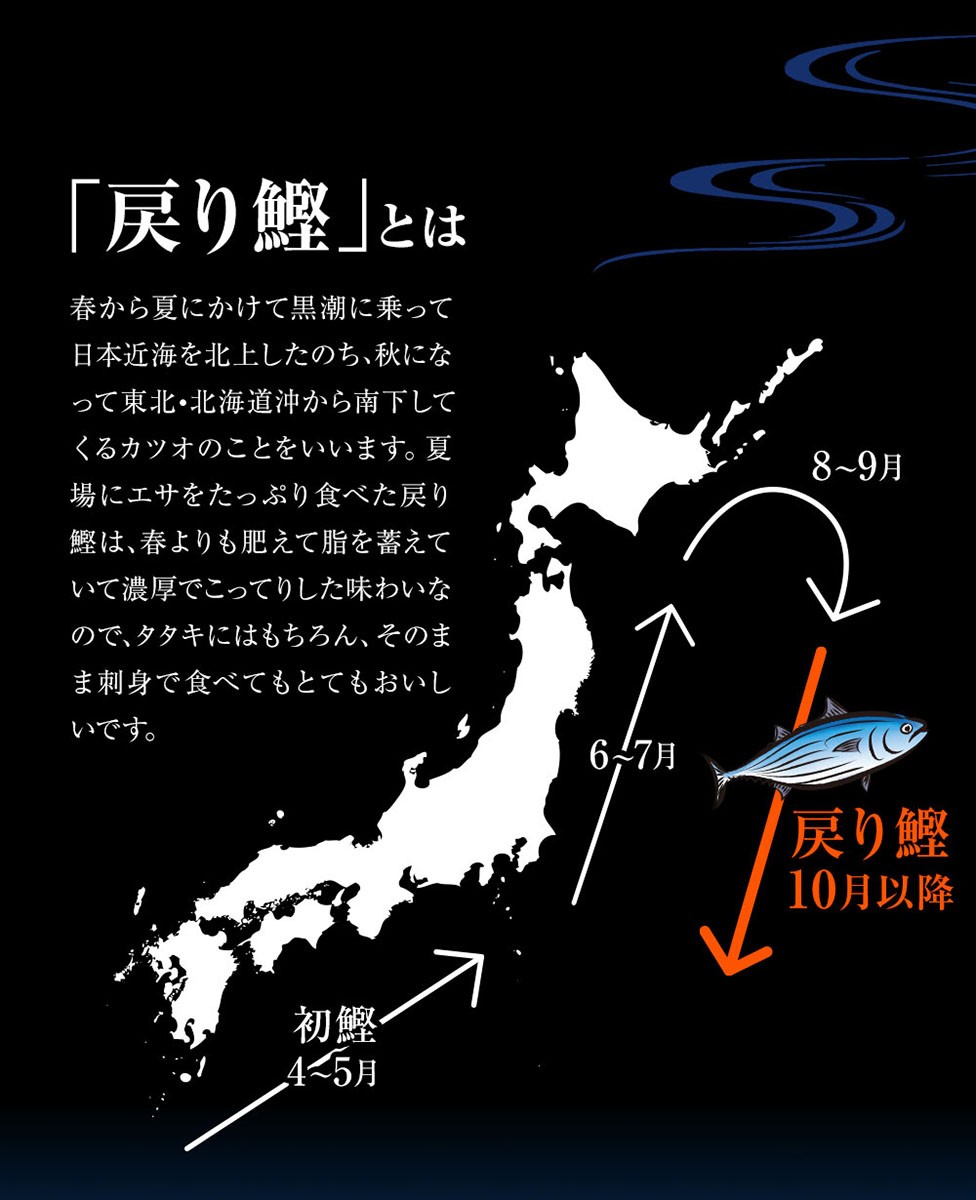 戻りガ鰹が美味しい