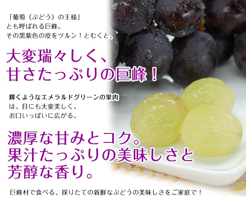 ジューシー 2025年 ご予約開始！ 巨峰2kg（4〜6房入）和歌山県