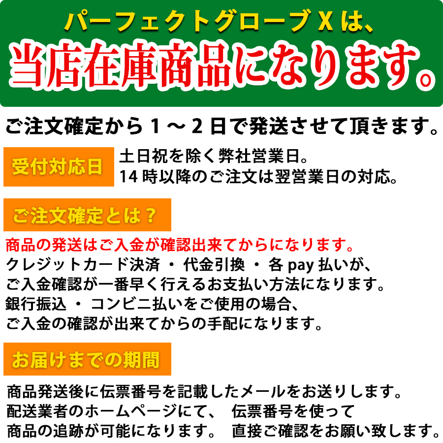 購入特典かるた付！しゃべる地球儀 パーフェクトグローブ X（PG-X23