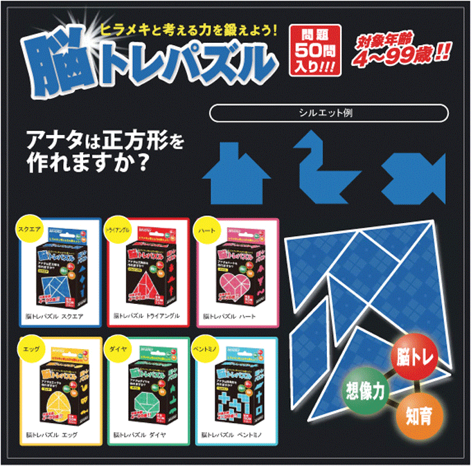 パズルを並び替えてひらめきと考える力を鍛える ビバリー 脳