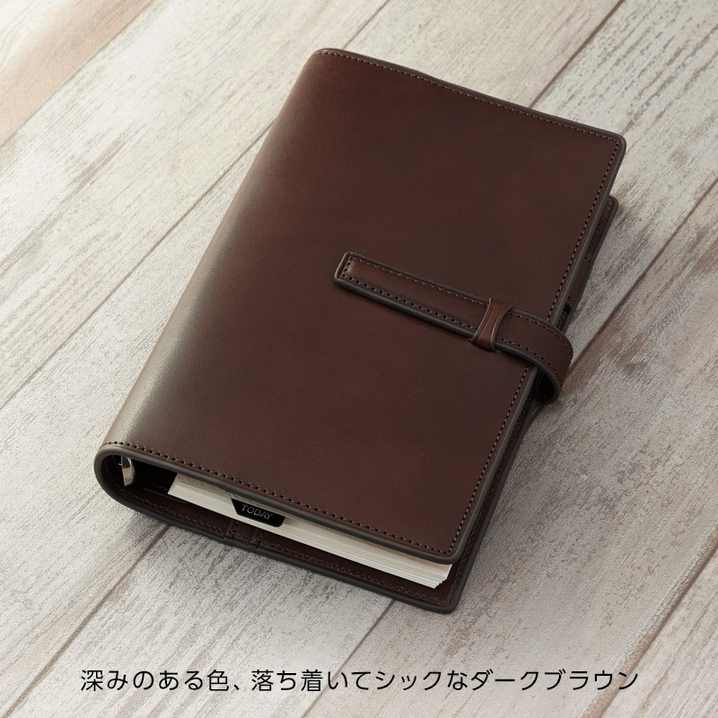 ダ・ヴィンチ システム手帳 Davinci オールアース バイブル 24mm