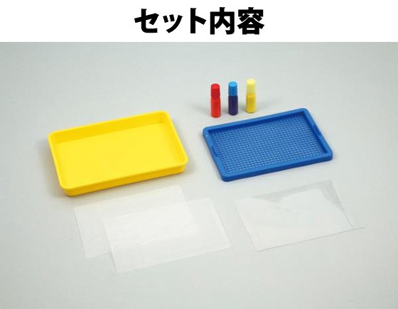 紙すきセット 染め絵の具3色付 夏休み 自由研究 自由工作 工作