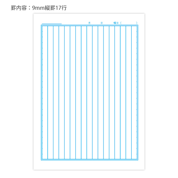 ジャポニカ ショウワノート JL-14 ジャポニカ学習帳 こくご 17行