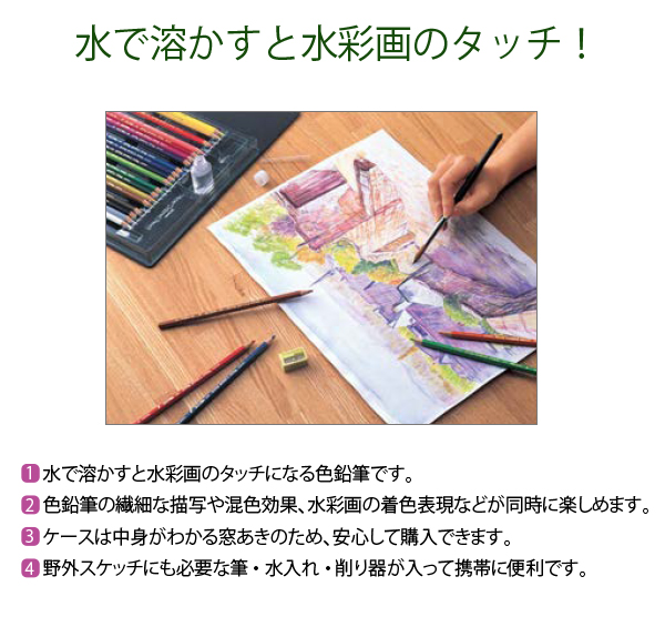 サクラクレパス 水彩色鉛筆12色 EPY12 水彩画 スケッチ用 描画用