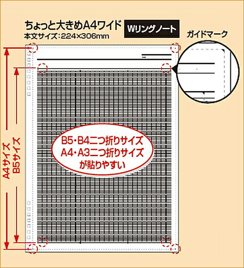 ナカバヤシ スイングロジカルWリングノート B罫 NW-A401WB