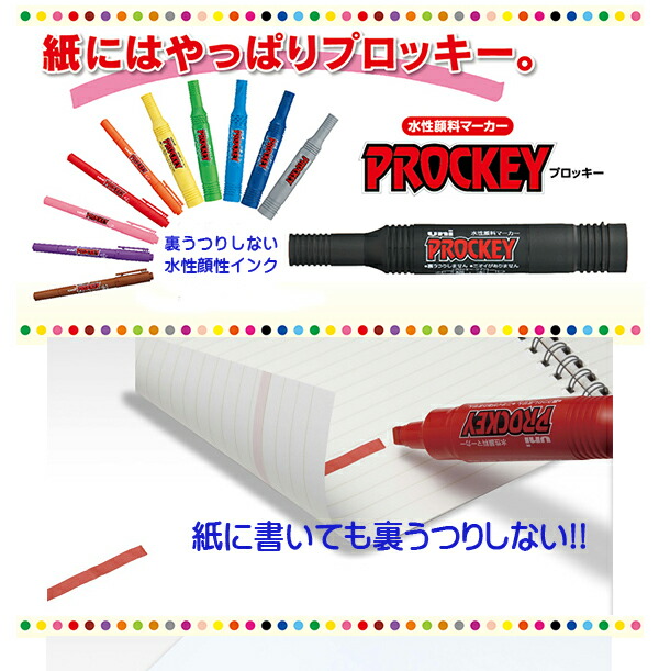 プロッキィ説明1