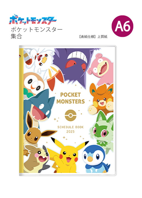 【ケース・早期購入特典あり】配布ポケモン30匹あり ポケットモンスター サン ポケモンカード コレクションサン 未開封30パック(1BOX分) 箱