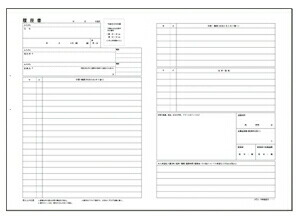 アピカ履歴書