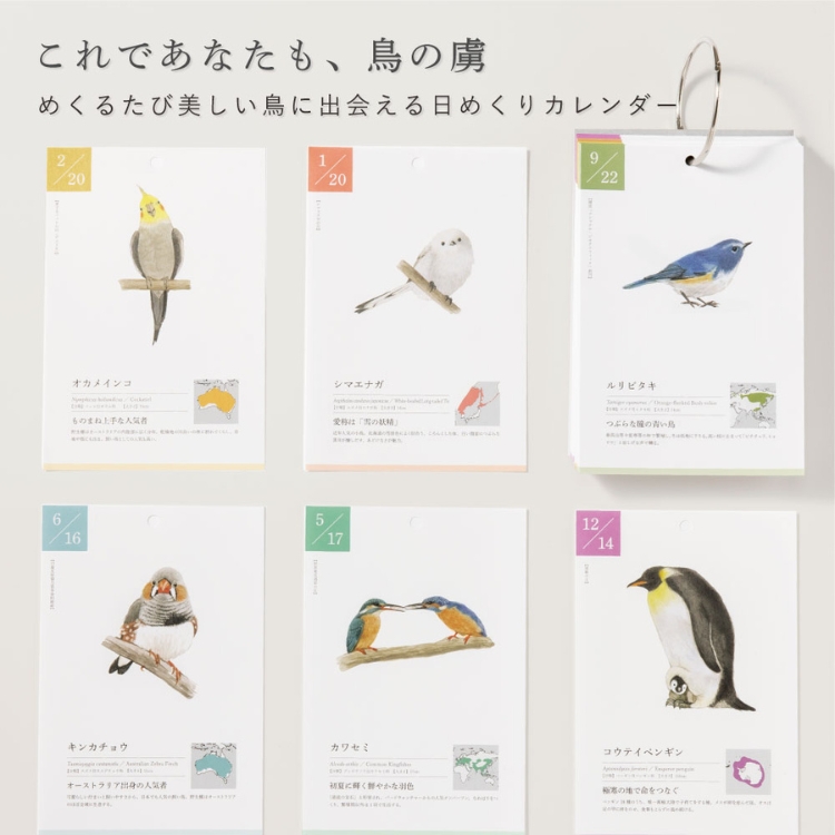 いろは出版 366日の誕生鳥カレンダー 世界の美しい鳥 あすつく対応