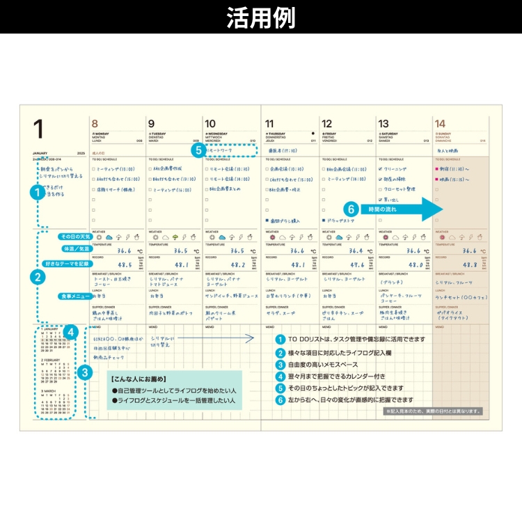イヤーノート2025【未使用】 イヤーノート 2025 内科・外科編 | 岡庭豊 |本 | 通販 | Amazon