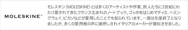 名入れ 無料 21年 手帳 限定 モレスキン Moleskine ピーナッツ デイリー 1日1ページ ハードカバー ラージサイズ 祝日シール付 Moleskin139 文房具の和気文具 通販 Yahoo ショッピング