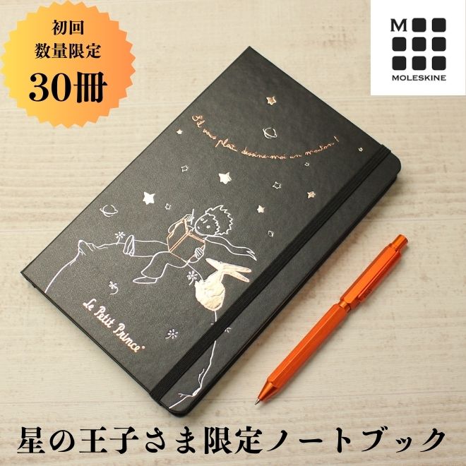 MOLESKINE 限定版 モレスキン 星の王子さま ラージサイズノート