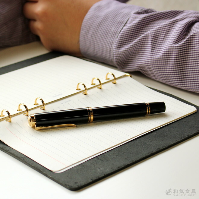 pelikan-0011-i09.jpg