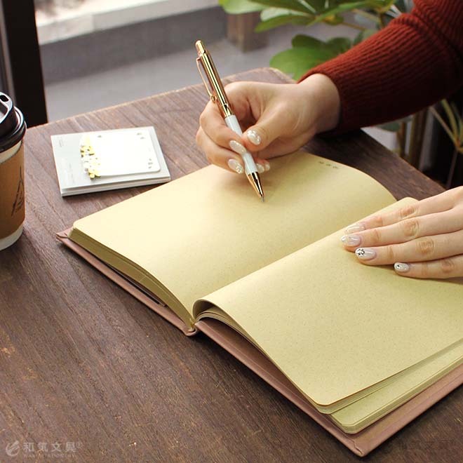 送料無料 代引不可 十字リーダー入 17mm方眼 8マス B5 文運堂 セレクト学習帳 教科ノート さんすう 10冊セット