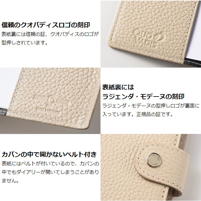 名入れ 無料 クオバディス QUOVADIS 10×15カバー 本革(牛革)トリオン ...