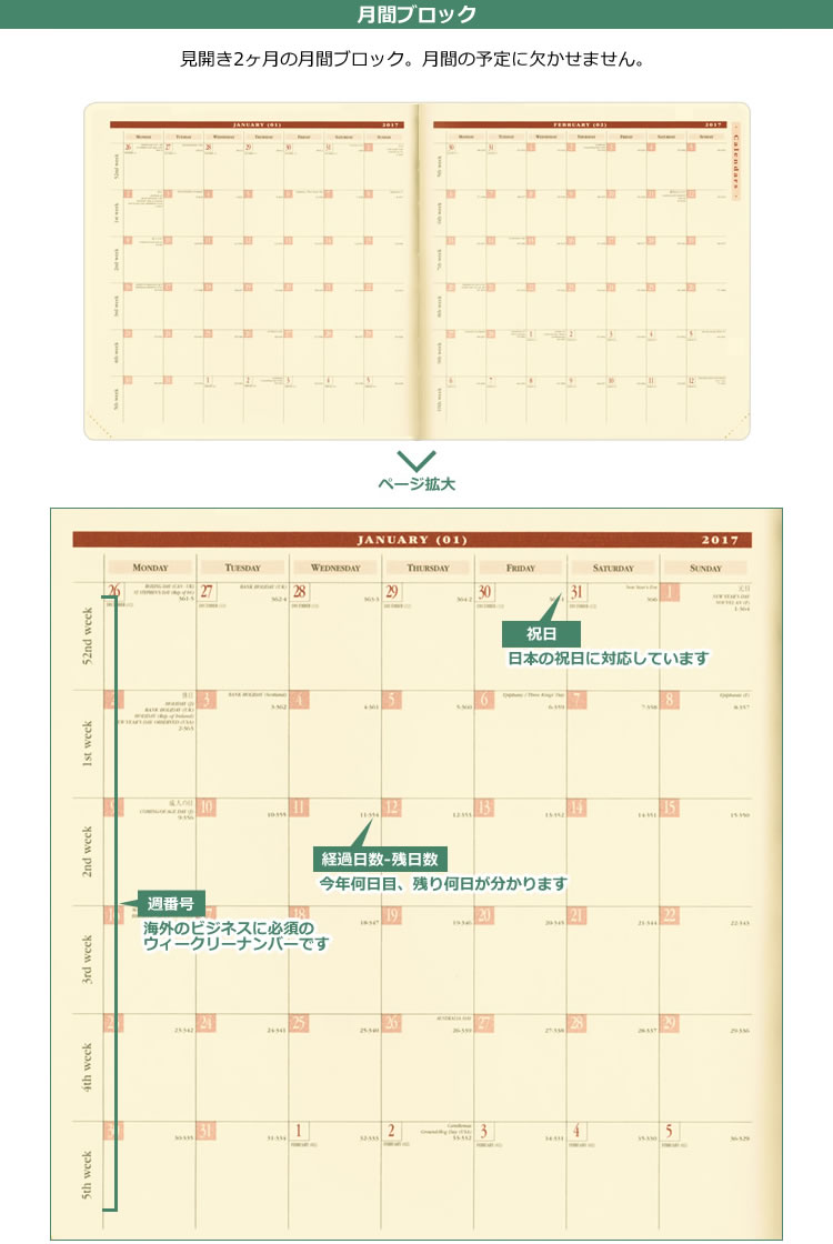Quo VADIS（クオバディス） 手帳 4月 始まり 2026年 週間 バーチカル
