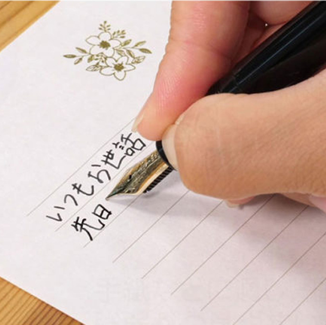 Amazon.co.jp: Herlitz my.pen スクール万年筆 L字ペン先
