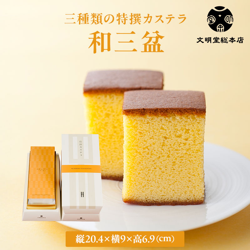 特撰カステラ