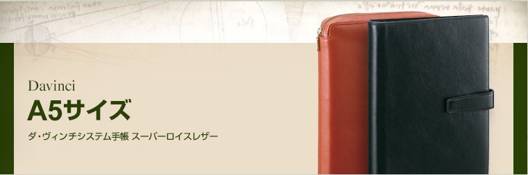 ダ・ヴィンチ 【名入れ可】レイメイ藤井 JDP3009 システム手帳 ダ