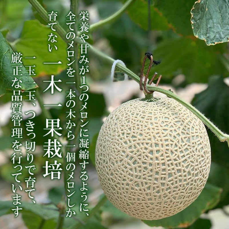 栽培の特徴