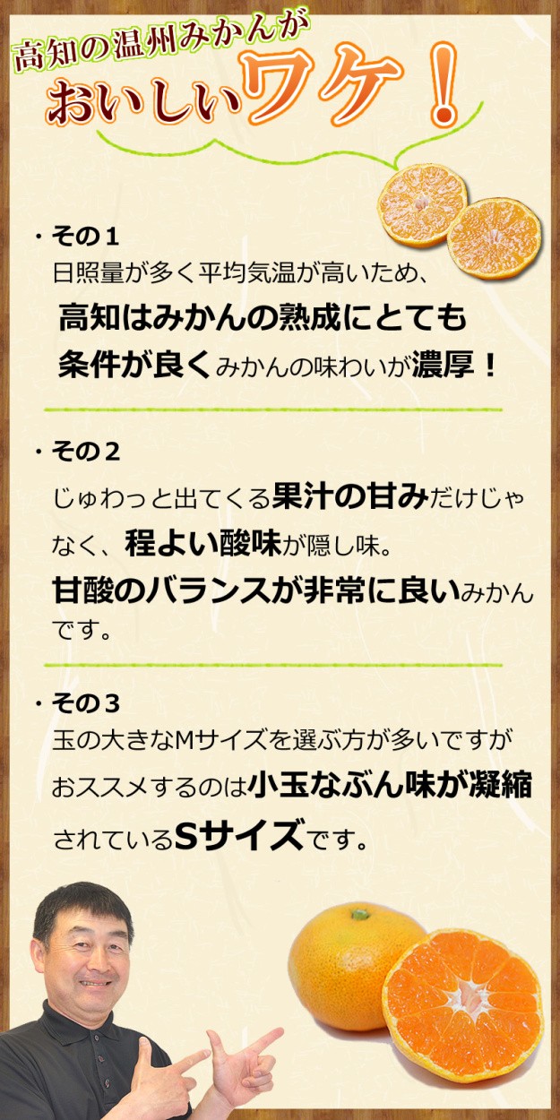セール】【同梱可能】小さなしあわせみかん 約1.8kg少量箱 【こつぶ