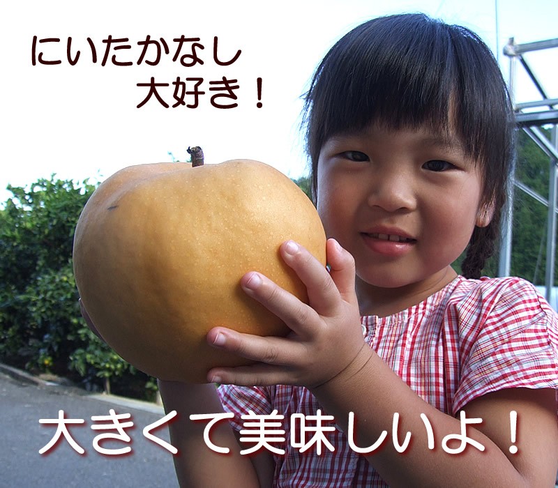 新高梨を持った女の子