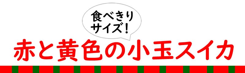 赤と黄色の食べきり小玉すいか