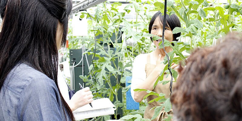 取材を受ける江本農園の奥さん
