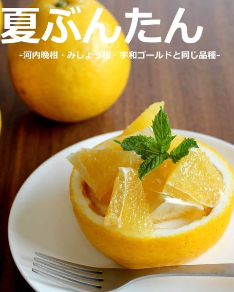 なつぶんたんページ 文旦屋・白木果樹園 Yahoo!店 - 夏ぶんたん｜Yahoo!ショッピング