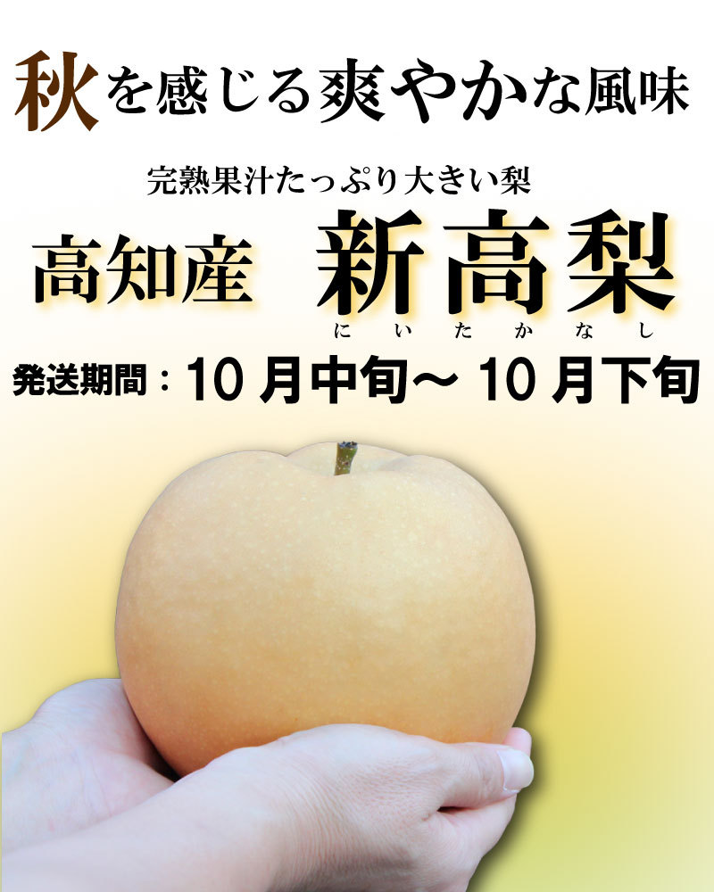 秋を感じる爽やかな風味高知県産新高梨（にいたかなし）