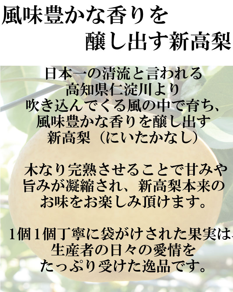 風味豊かな香りを醸し出す新高梨