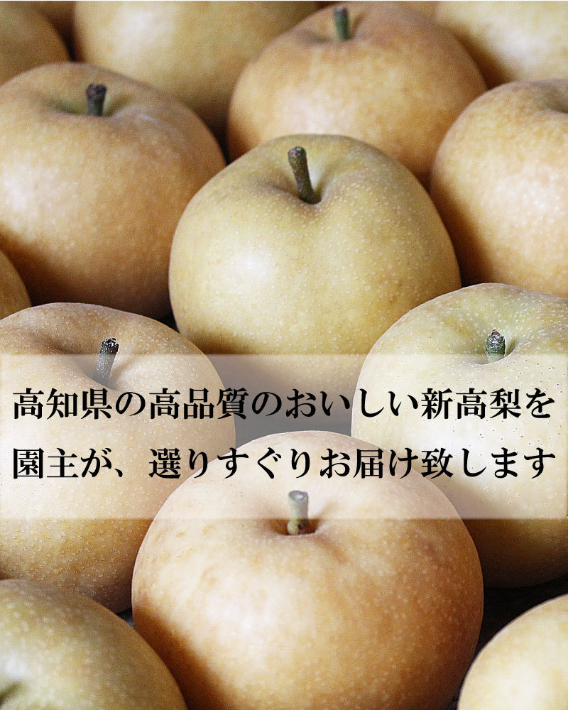 選りすぐりの新高梨をお届けします