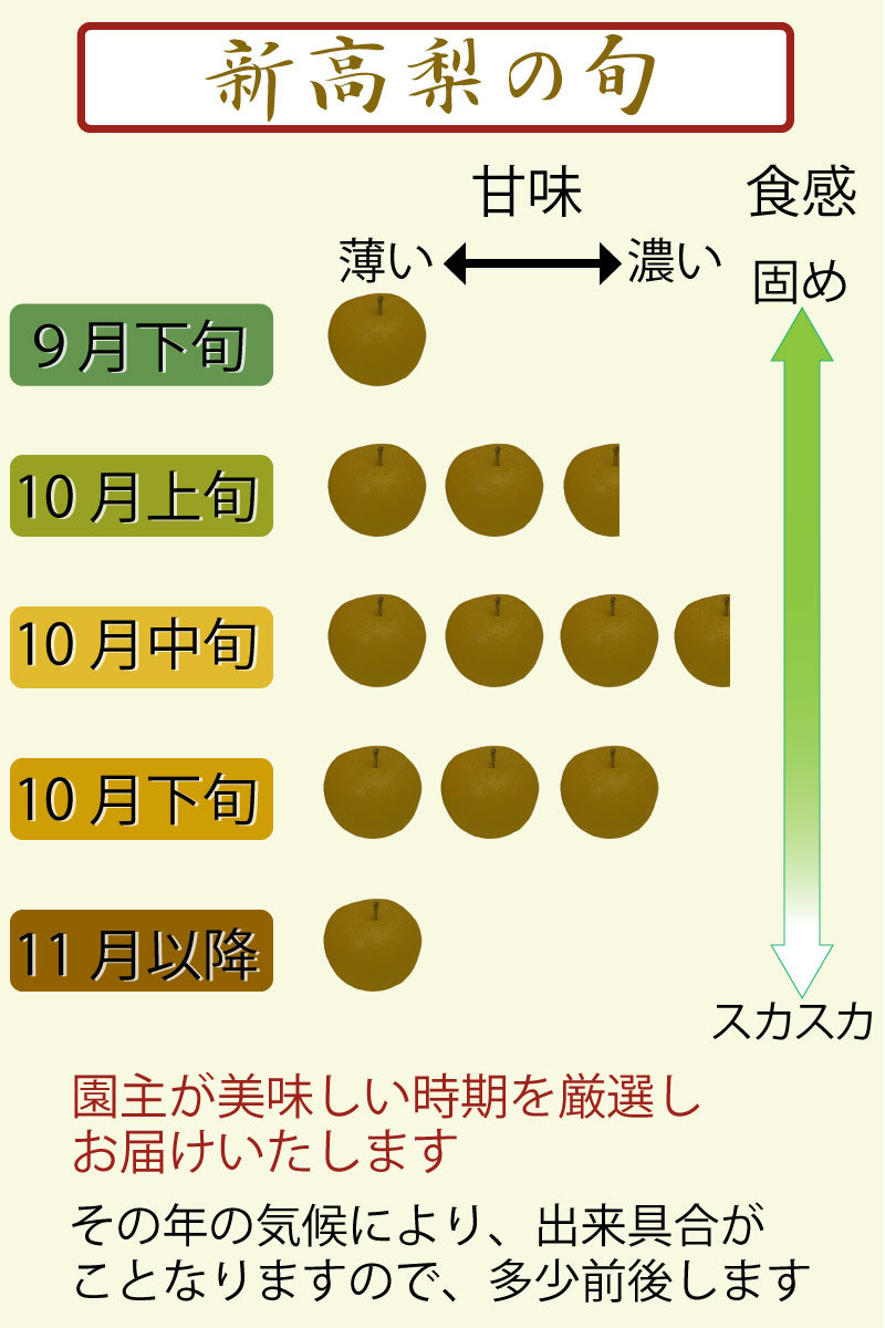 新高梨の旬の時期