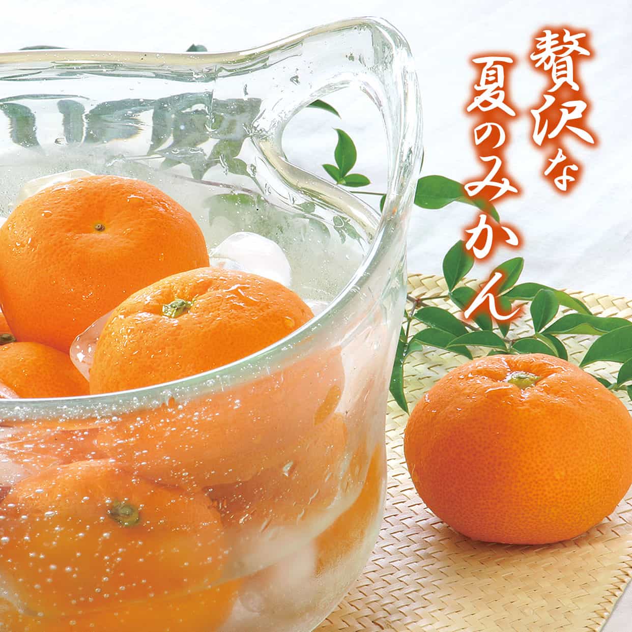 送料込】高知県産特選ハウスみかん2Sサイズ 約5kg : 文旦屋・白木果樹