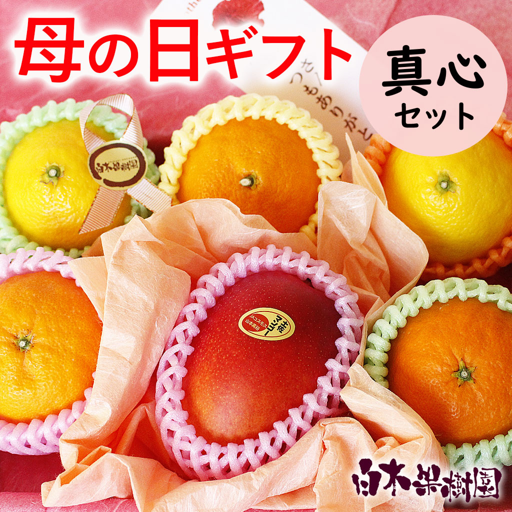 母の日 ギフト （真心）セット【送料無料】【包装付き】