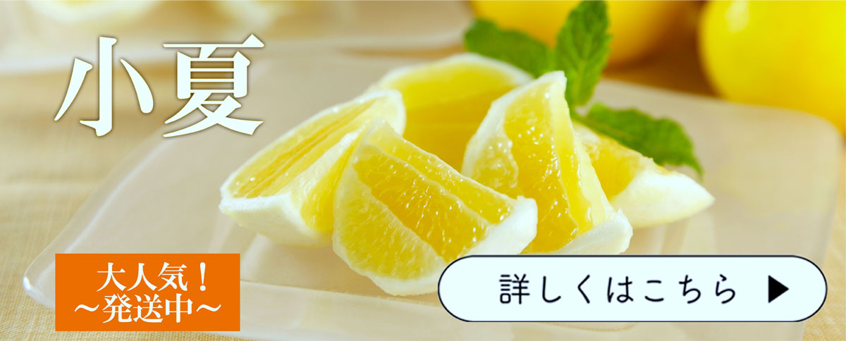 文旦屋・白木果樹園 Yahoo!店 - Yahoo!ショッピング