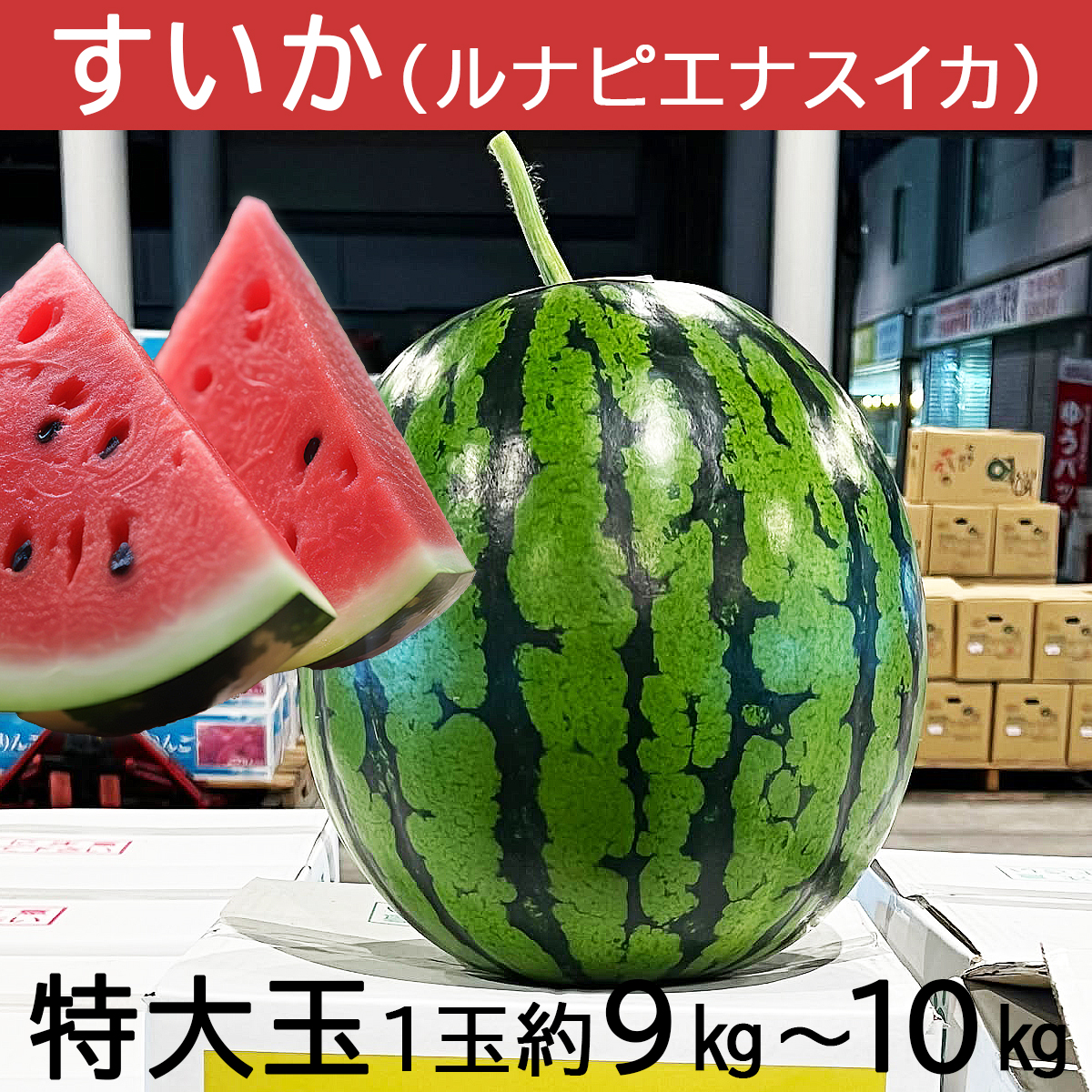 特大玉1玉約9kg〜10kg