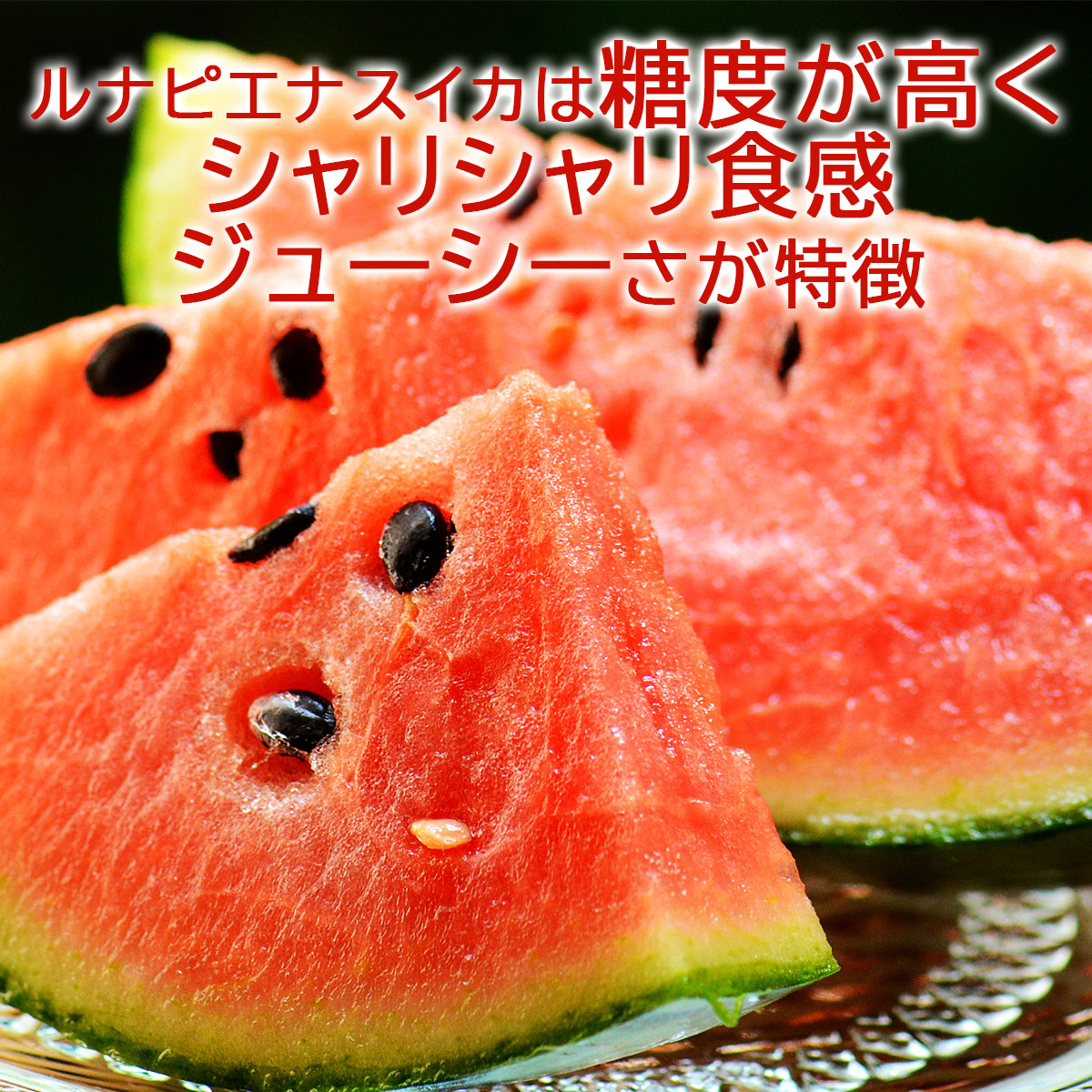 シャリシャリ食感