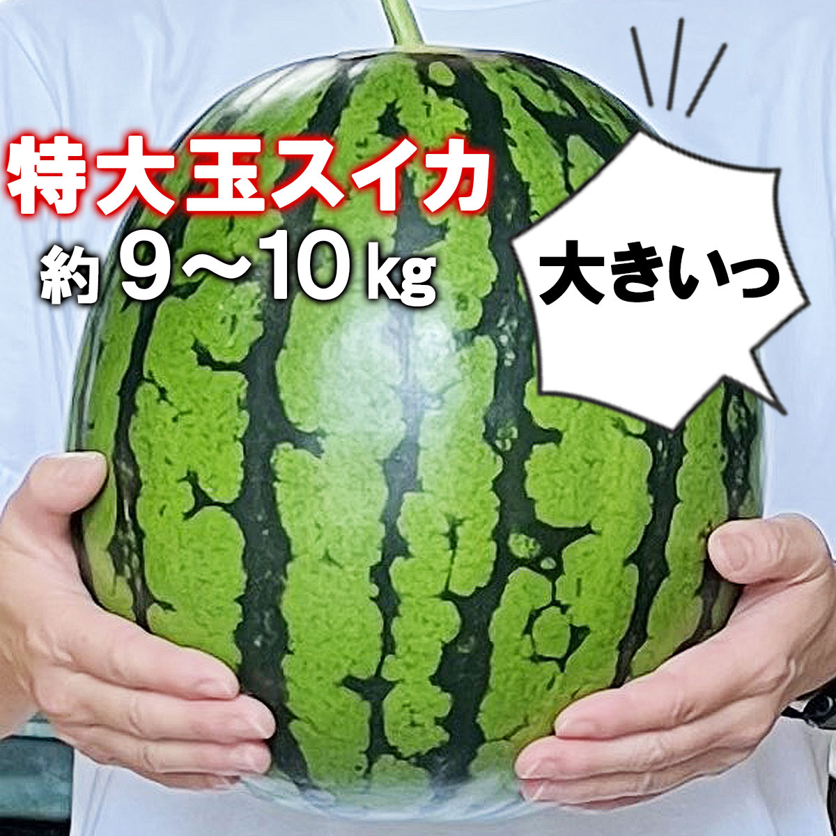 特大玉スイカの大きさ