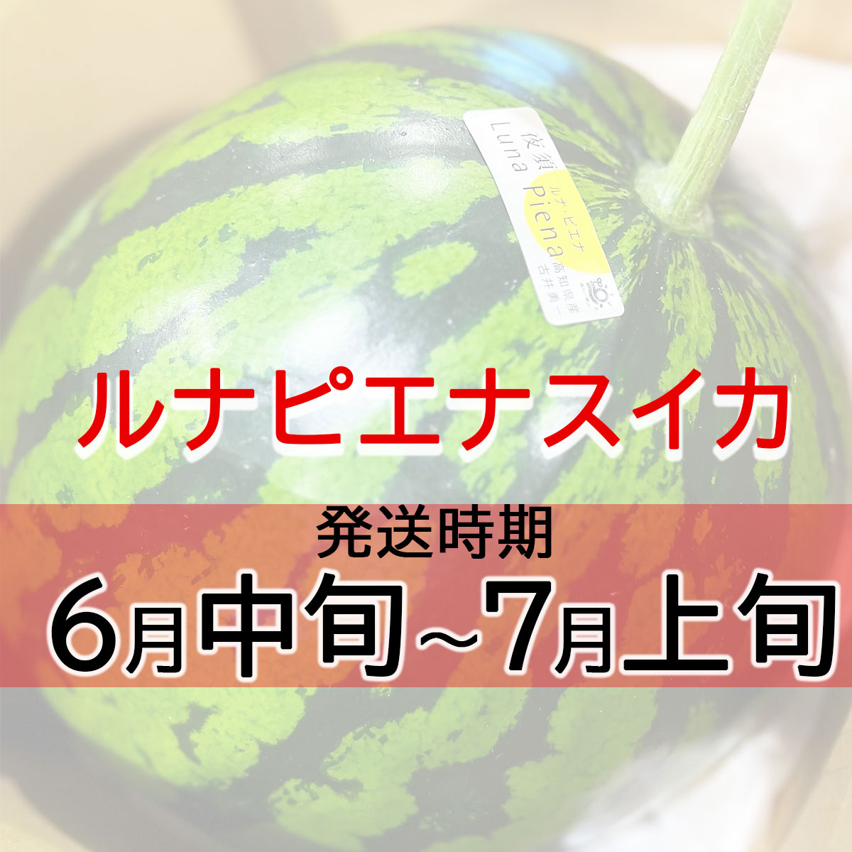 発送時期