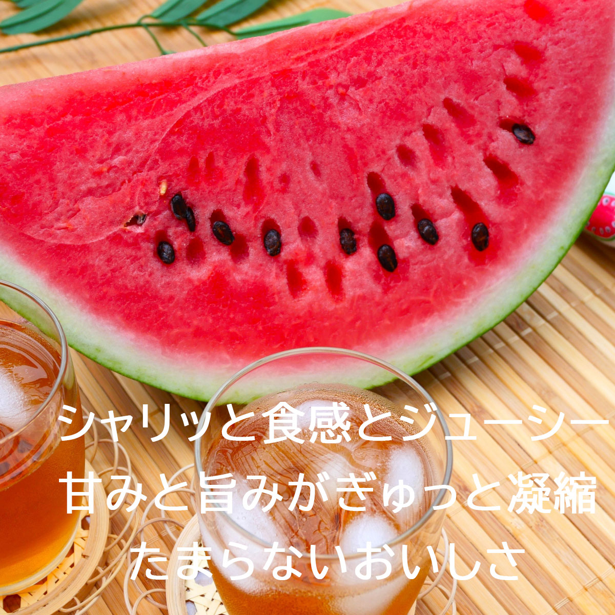 ルナピエナの美味しさ