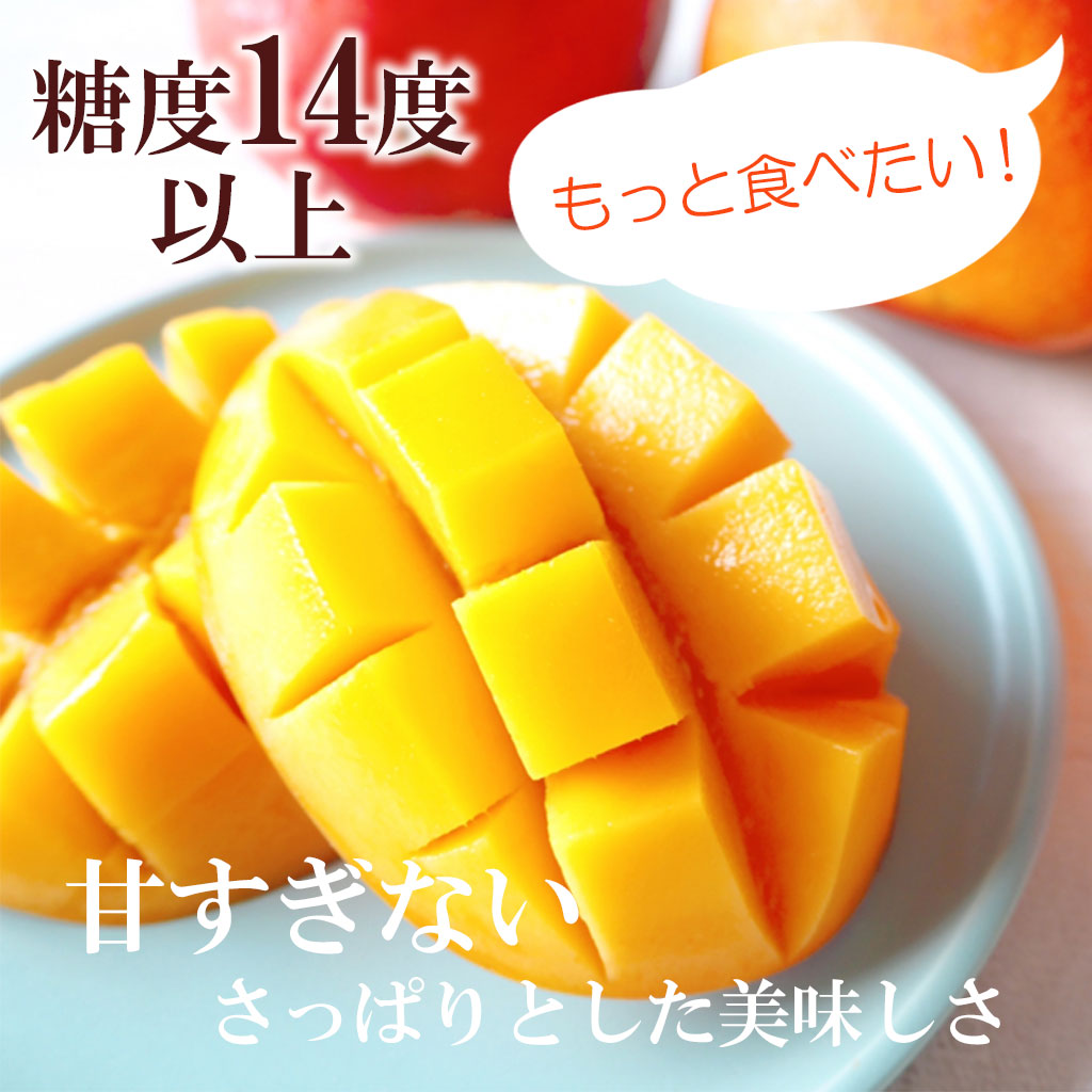 クール送料込】訳あり家庭用 完熟マンゴー3個入 S〜Lサイズ