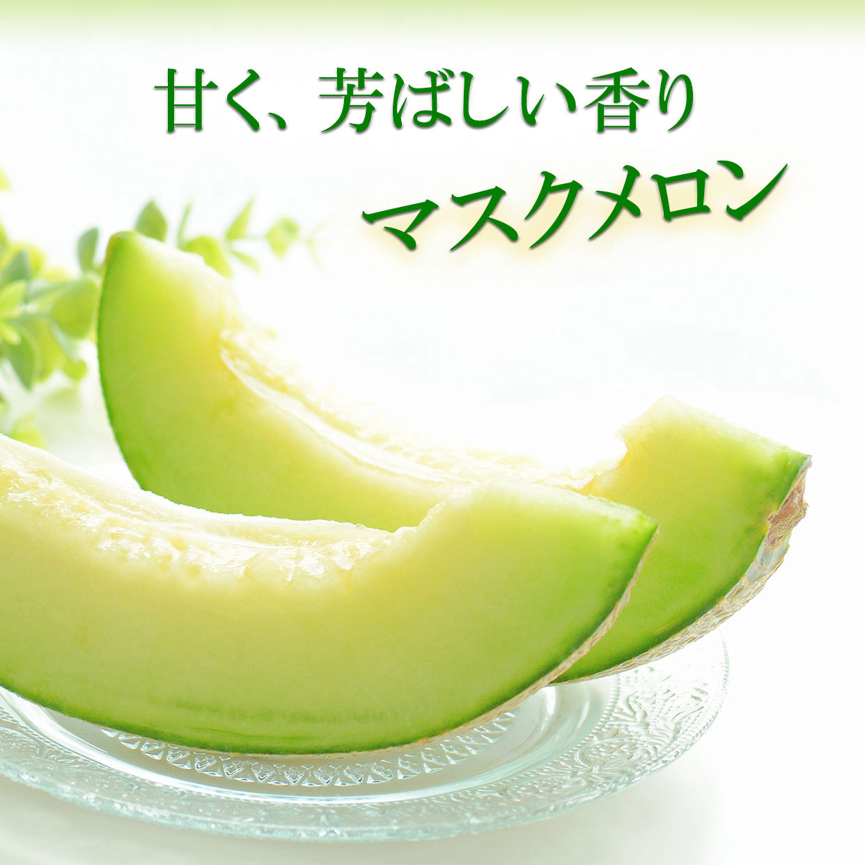 マスクメロンの特徴