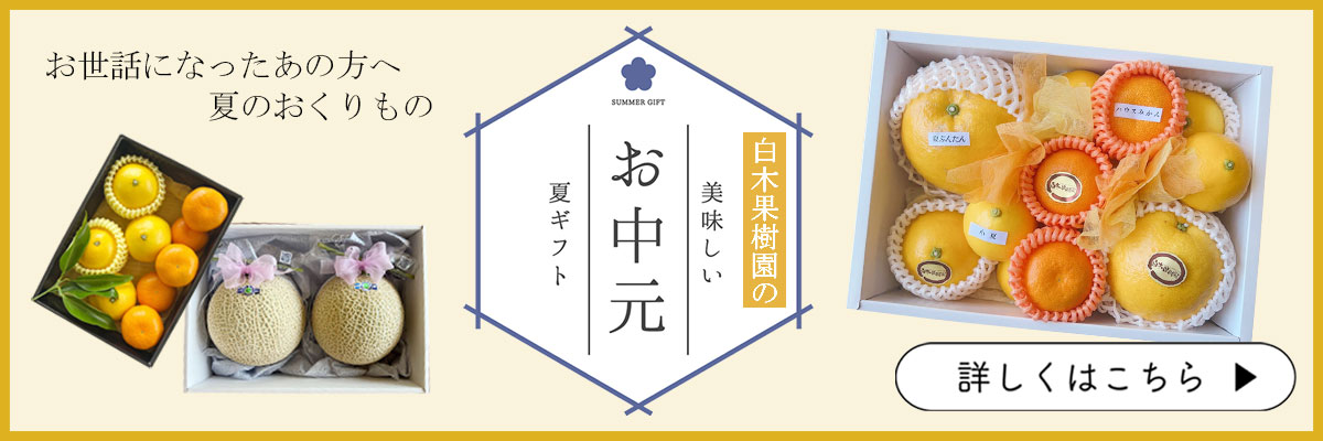 文旦屋・白木果樹園 Yahoo!店 - Yahoo!ショッピング