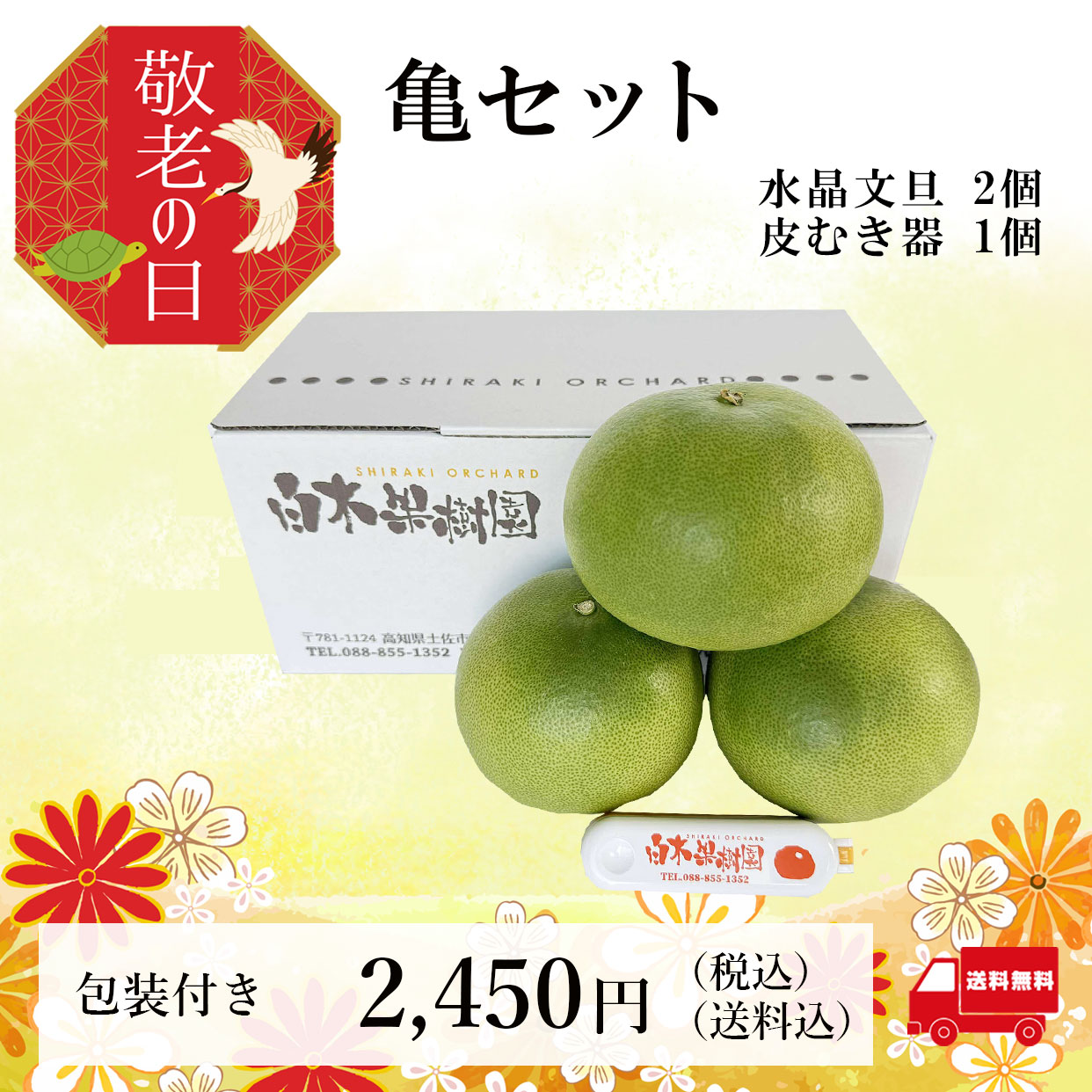 亀セット