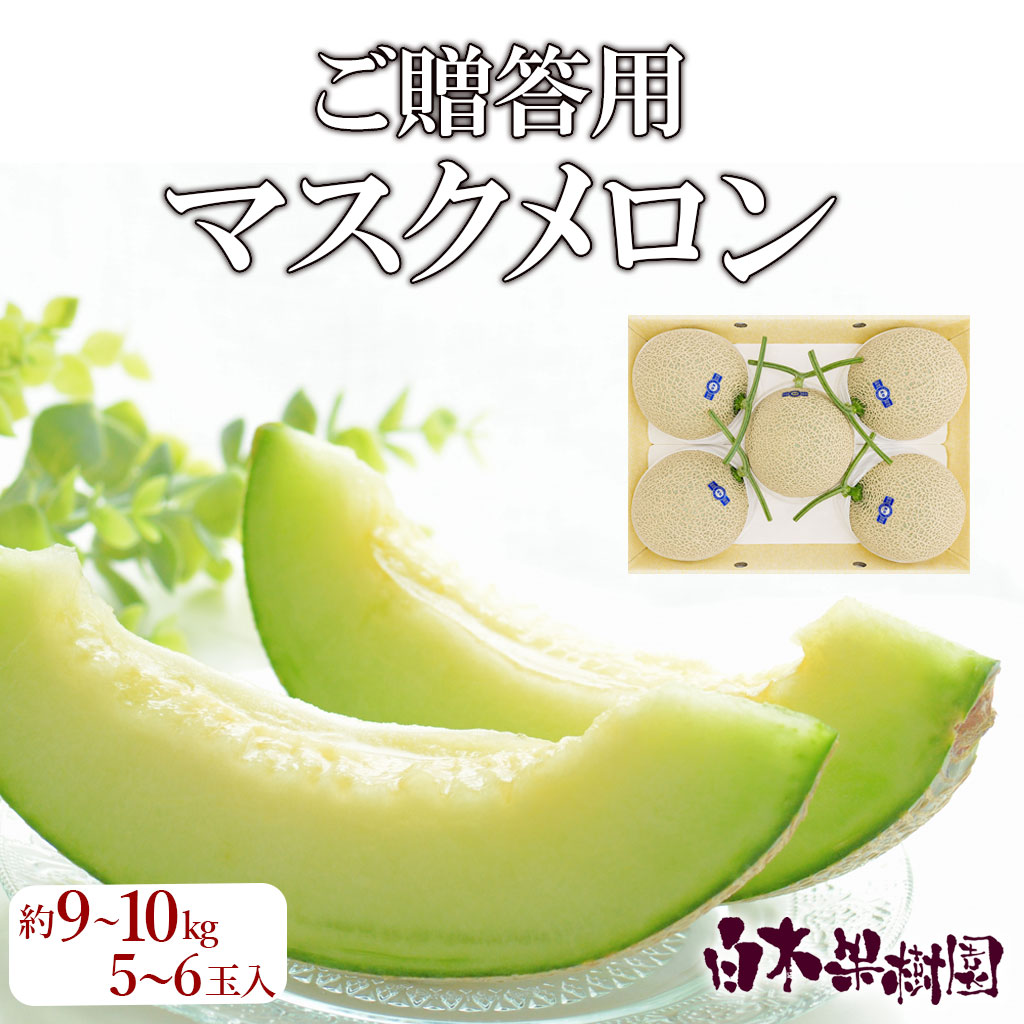 送料込】マスクメロン ご贈答用5~6玉入り【高知県産】 : 文旦屋・白木