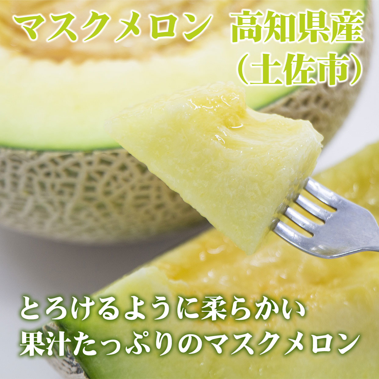 高知県産マスクメロン